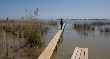 Imagenes de archivo del Delta del Ebro.