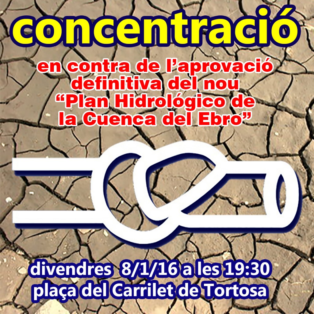 concentració carrilet 8-1-16